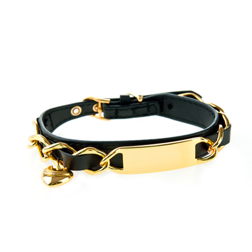 Luxury dog collar